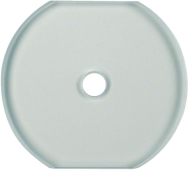 Glass cover centre plate f. rot. switch/spring-return push-button, cle image 2