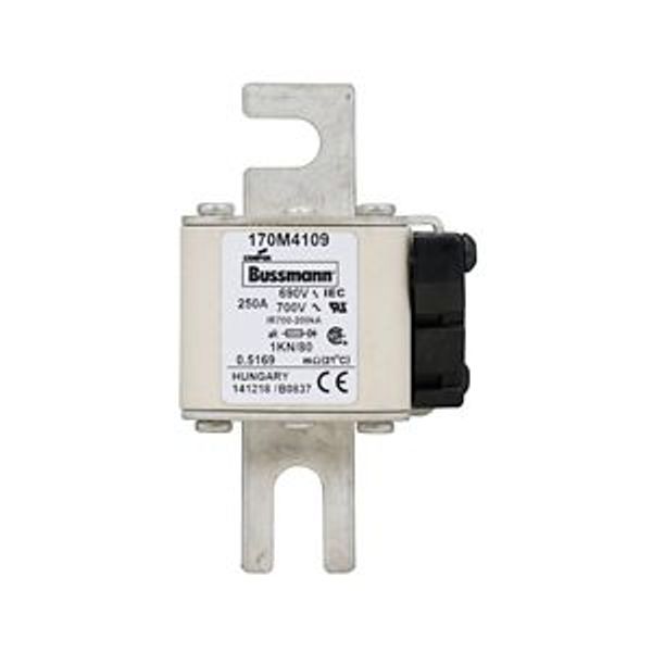 Fuse-link, high speed, 250 A, AC 690 V, DIN 1, 53 x 69 x 108 mm, aR, DIN, IEC, single indicator image 4