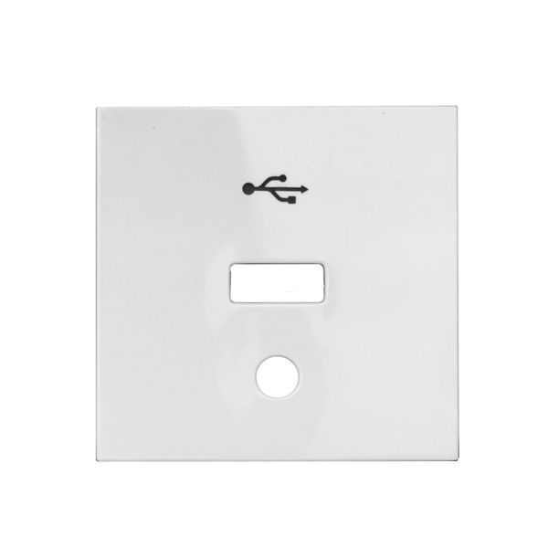 USB coupler cover, white image 1