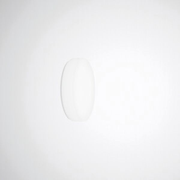 Wall and ceiling luminaire Olisq R Diffuser White around ET 15W 2000lm Lambertian (L) IP40 IK06 3 SDCM image 1