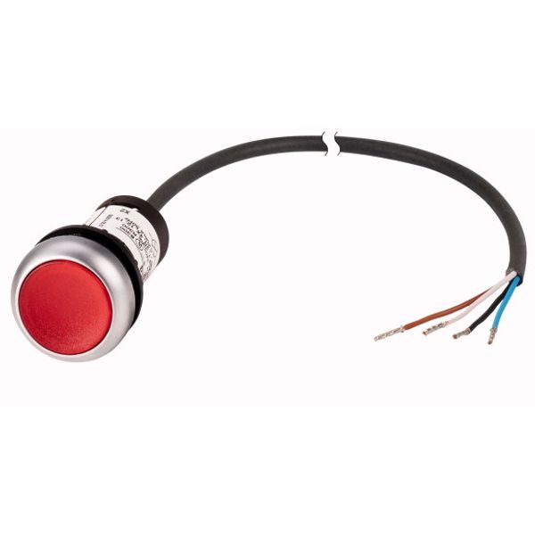 Illuminated pushbutton actuator, classic, flat, maintained, 1 N/C, red, 24 V AC/DC, cable (black) with non-terminated end, 4 pole, 3.5 m image 1