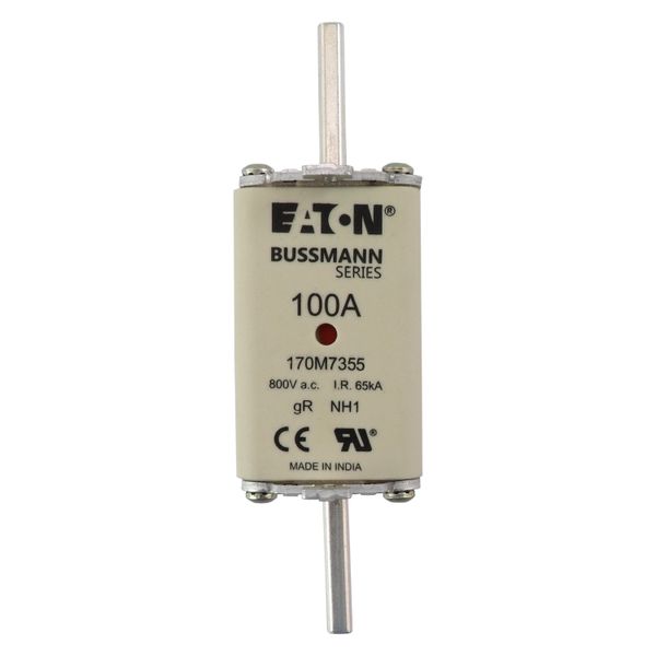 Fuse-link, high speed, 100 A, AC 800 V, NH1, gR, UL, IEC, dual indicator image 18