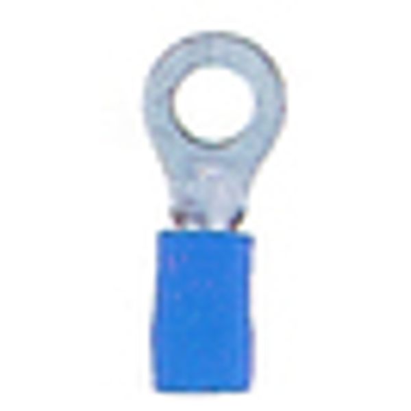 Insulated ring connector terminal M4 blue, 1.5-2.5mmý image 2