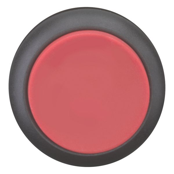 Pushbutton, RMQ-Titan, Extended, maintained, red, Blank, Bezel: black image 4