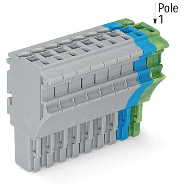 1-conductor female connector Push-in CAGE CLAMP® 4 mm² gray/blue/green image 2