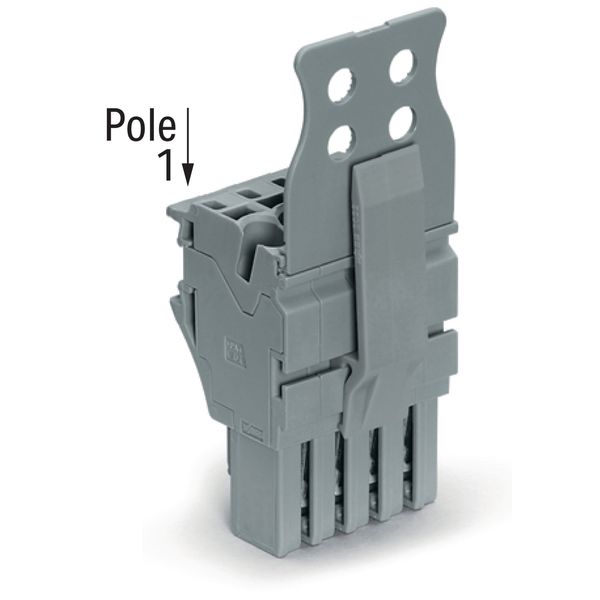 1-conductor female connector Push-in CAGE CLAMP® 4 mm² gray image 2