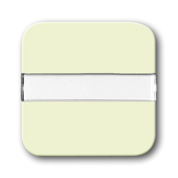 2510 NLI-212 CoverPlates (partly incl. Insert) carat® White image 1