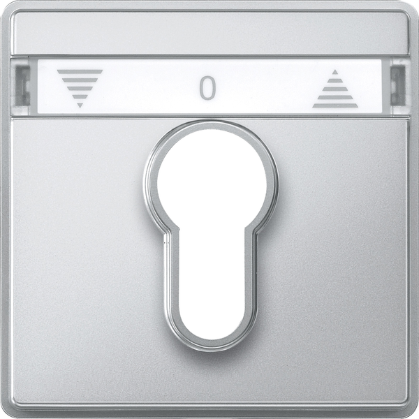Cen.pl. f. DIN cylinder key switch insrts f. roller shut.s, aluminium, Aq.des. image 4