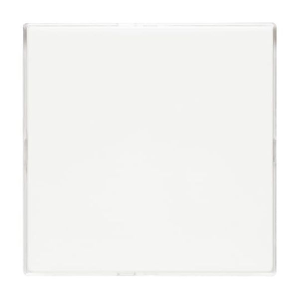 1571 CN-212 CoverPlates (partly incl. Insert) carat® White image 4