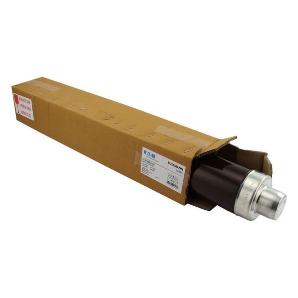 Fuse-link, medium voltage, 125 A, AC 17.5 kV, 3", 76 x 442 mm, back-up, DIN, with striker image 14