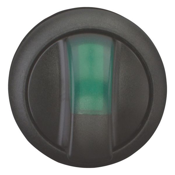 Illuminated selector switch actuator, RMQ-Titan, With thumb-grip, momentary, 3 positions, green, Bezel: black image 4