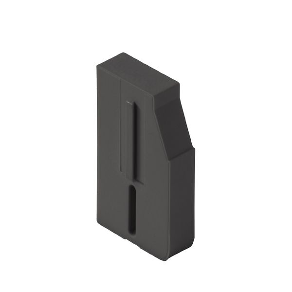 End and partition plate for terminals, black image 1