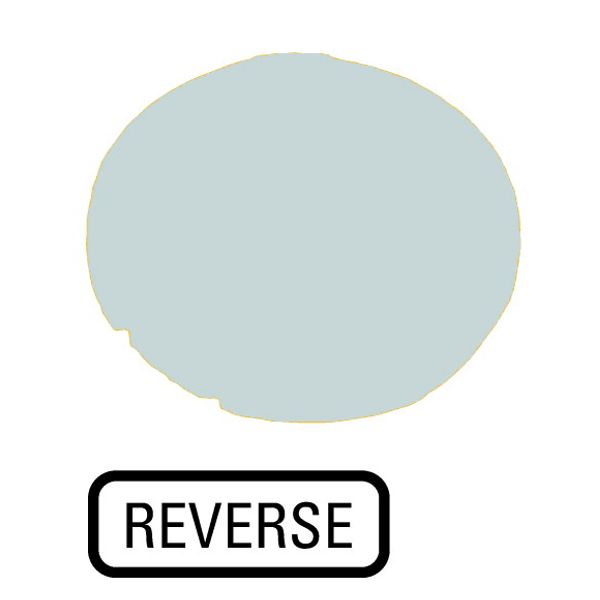 Button lens, flat white, REVERSE image 1