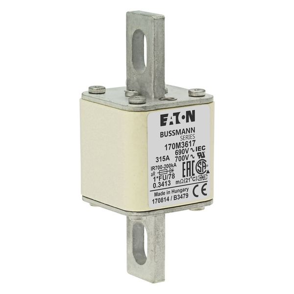 Fuse-link, high speed, 315 A, AC 690 V, compact size 1, 45 x 45 x 110 mm, aR, IEC, UL image 15