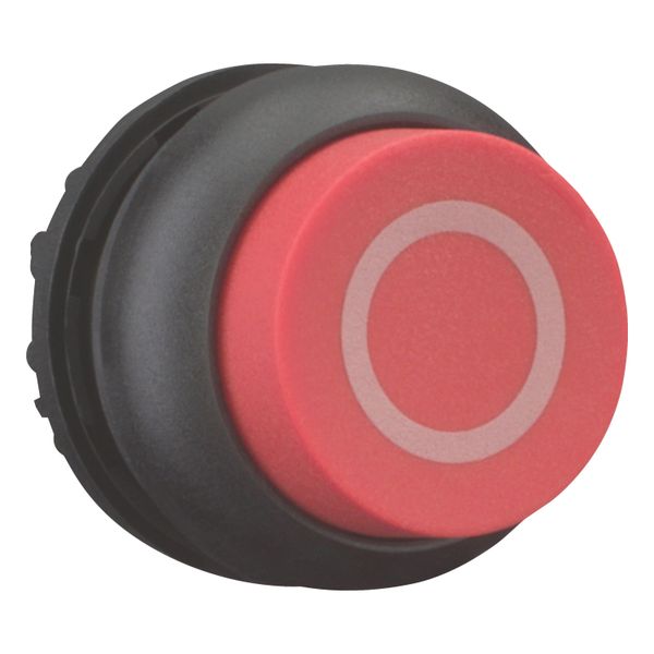 Pushbutton, RMQ-Titan, Extended, momentary, red, inscribed, Bezel: black image 12