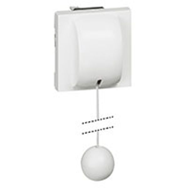 2-way pull-cord switch Mosaic - 10AX - 230 V~ - up to 2300 W - 2 modules -white image 2