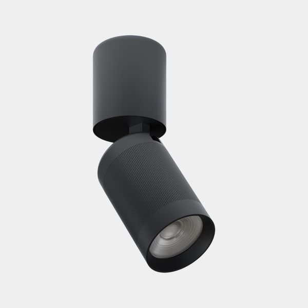 Ceiling fixture Iris Surface Pipe 15º 11.7W LED warm-white 2700K CRI 90 ON-OFF IP23 873lm image 1