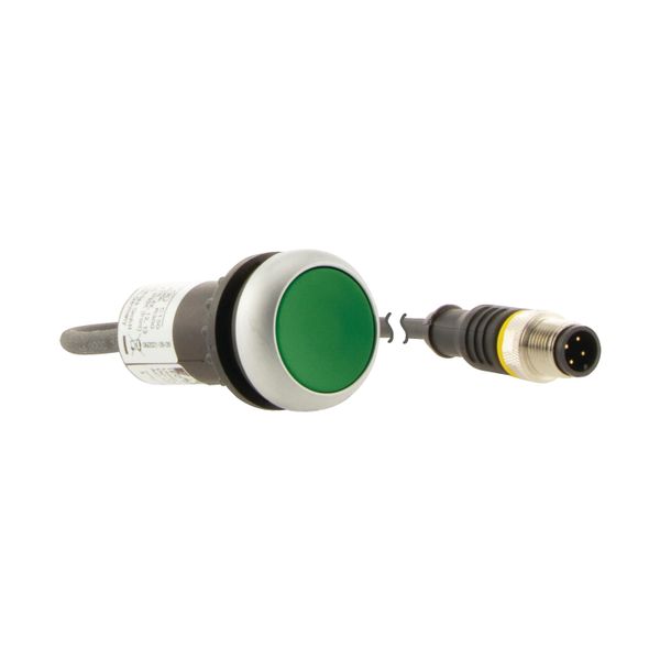 Pushbutton, Flat, momentary, 1 N/O, Cable (black) with M12A plug, 4 pole, 0.2 m, green, Blank, Bezel: titanium image 17