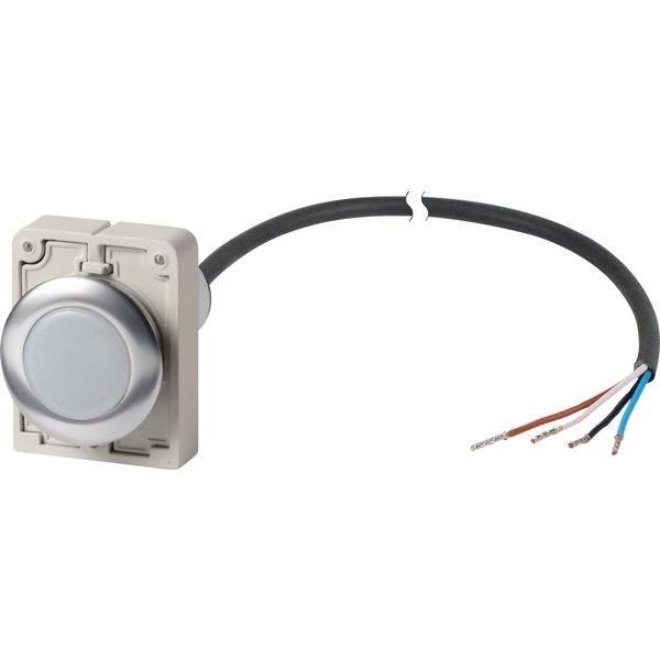 Indicator light, Flat, Cable (black) with non-terminated end, 4 pole, 1 m, Lens white, LED white, 24 V AC/DC image 4