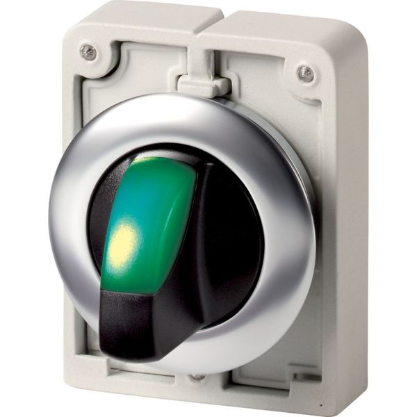 Illuminated selector switch actuator, RMQ-Titan, with thumb-grip, momentary, 3 positions, green, Front ring stainless steel image 3