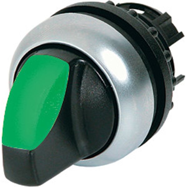 Illuminated selector switch actuator, RMQ-Titan, With thumb-grip, maintained, 2 positions, green, Bezel: titanium image 1