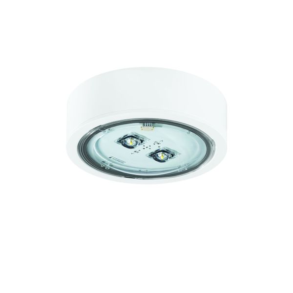 ITECH C1 302 M AT W COLD Emergency LED light - Individual order image 1