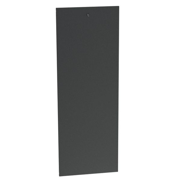 980197 600mm wide panel for maintenance bay 19inch LCS³ 42U image 1