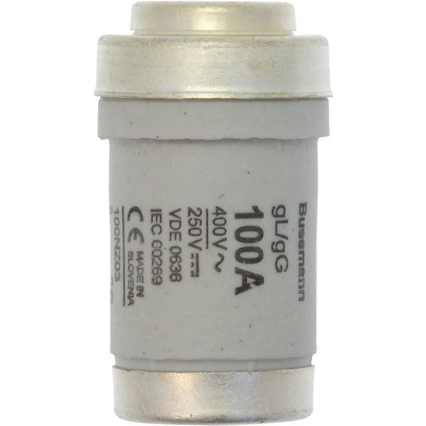 Fuse-link, LV, 100 A, AC 400 V, D03, gL/gG, IEC, time-delay image 2