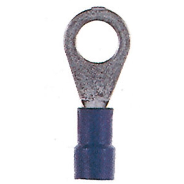Insulated ring connector terminal M6 blue, 1.5-2.5mmý image 1