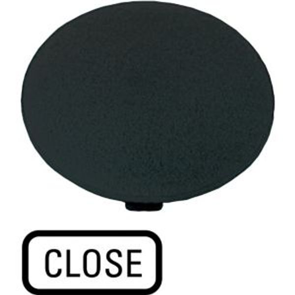 Button plate, mushroom black, CLOSE image 4