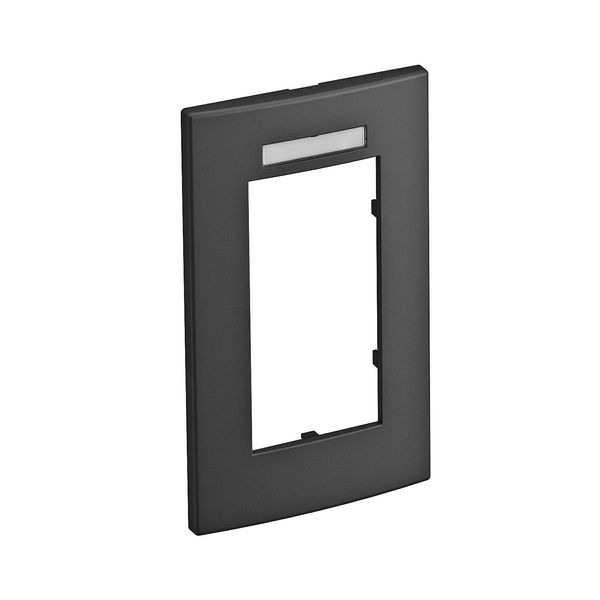 Cover frame AR45-BSF2, for accessory mounting box 71GD13, double, with labelling panel for vertical device installation image 1