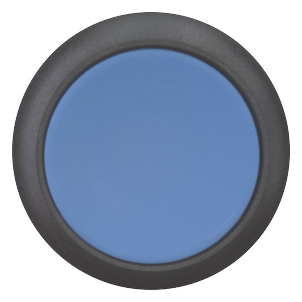 Pushbutton, RMQ-Titan, Flat, momentary, Blue, Blank, Bezel: black image 10