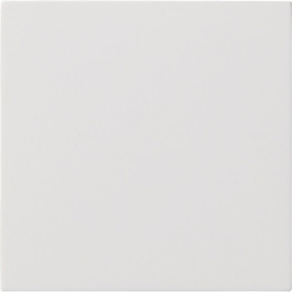 rocker 1-g blank Gira F100 p.white image 1