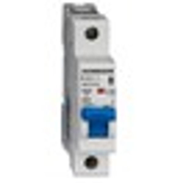 Miniature Circuit Breaker (MCB) AMPARO 10kA, B 63A, 1-pole image 7