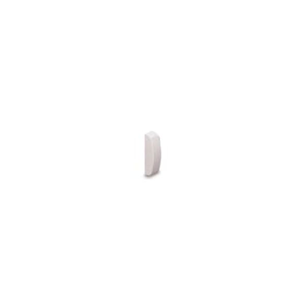 M420680000 END CAP FOR LEFT SKIRTING image 1