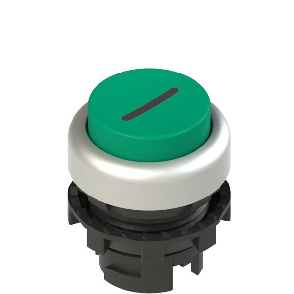 Green protruding luminous button with brand E2 1PL2S429L2 image 1