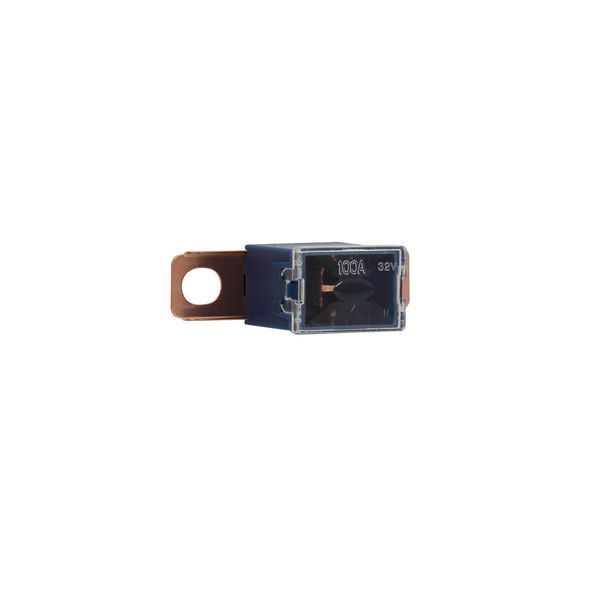 Fuse-link, Overcurrent NON SMD, 100 A image 6