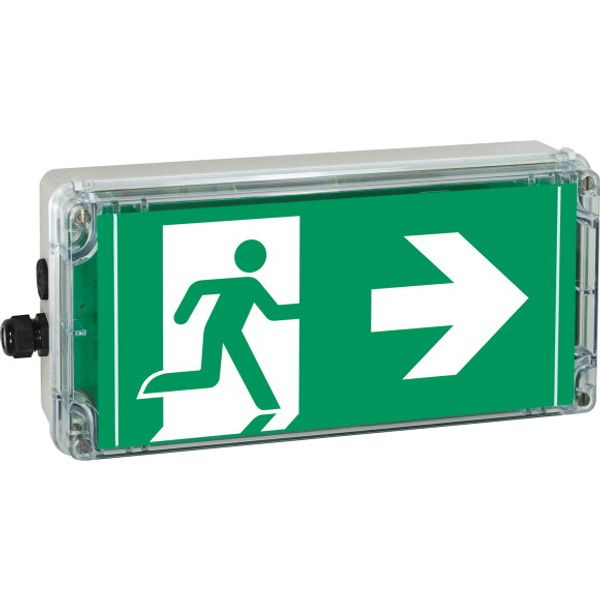 Ex-escape sign luminaires EXIT 2 V-CG-S for zone 2/22, Pictogram: DIN ISO 7010, Arrow: 6 Clock image 5