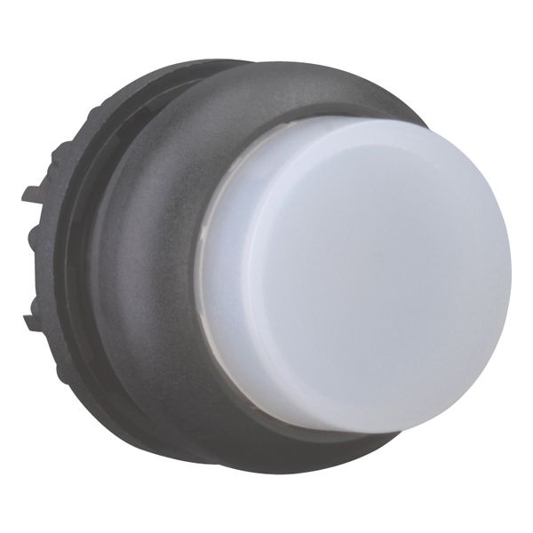 Illuminated pushbutton actuator, RMQ-Titan, Extended, momentary, White, Blank, Bezel: black image 8