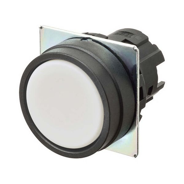 Pushbutton A22NZ 22 dia., bezel plastic, flat, momentary, cap color op image 2