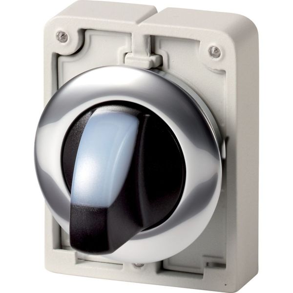 Illuminated selector switch actuator, RMQ-Titan, With thumb-grip, maintained, 3 positions, White, Metal bezel image 5