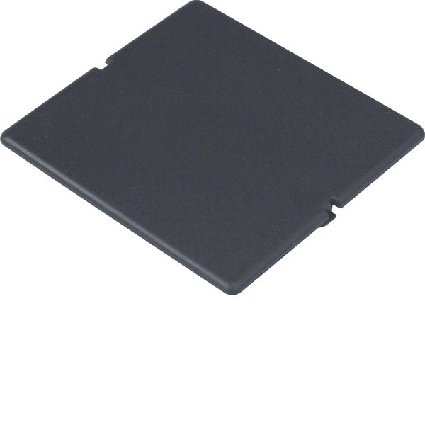 blind plate for covering empty spaces in device casings 48 x 48 mm image 1