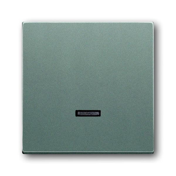 6543-803-101 CoverPlates (partly incl. Insert) Busch-axcent®, solo® grey metallic image 1