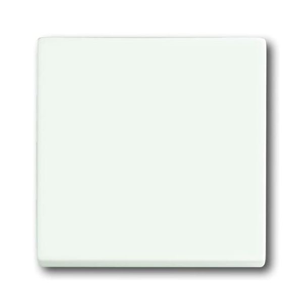 1786-884-500 CoverPlates (partly incl. Insert) future®, Busch-axcent®, carat® studio white matt image 1