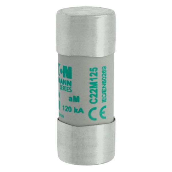 Fuse-link, LV, 125 A, AC 400 V, 22 x 58 mm, aM, IEC image 11