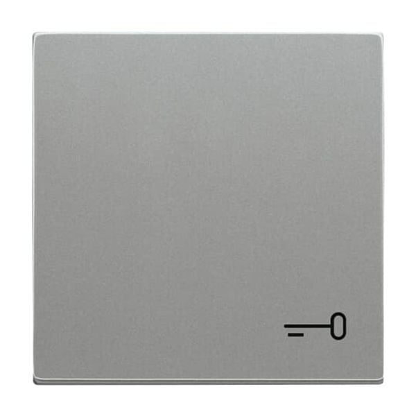 2520 TR-803 CoverPlates (partly incl. Insert) Busch-axcent®, solo® grey metallic image 3