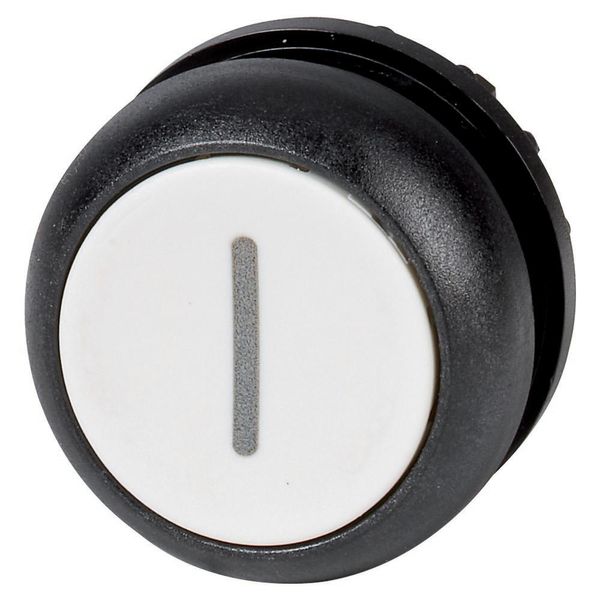 Pushbutton, RMQ-Titan, Flat, momentary, White, inscribed, Bezel: black image 4