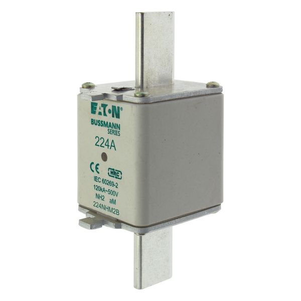 Fuse-link, low voltage, 224 A, AC 500 V, NH2, aM, IEC, dual indicator image 7
