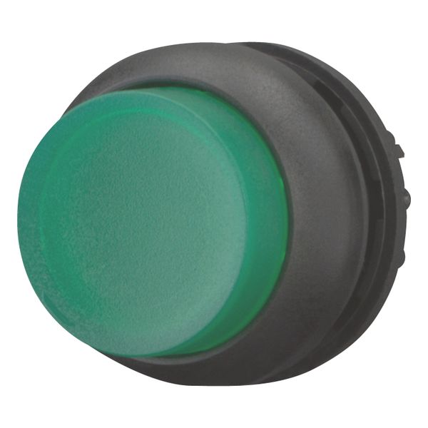 Illuminated pushbutton actuator, RMQ-Titan, Extended, momentary, green, Blank, Bezel: black image 3