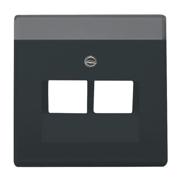 1803-81 Cover plate with labelling field UAE/IAE (ISDN) 1 gang anthracite - 63x63 image 4